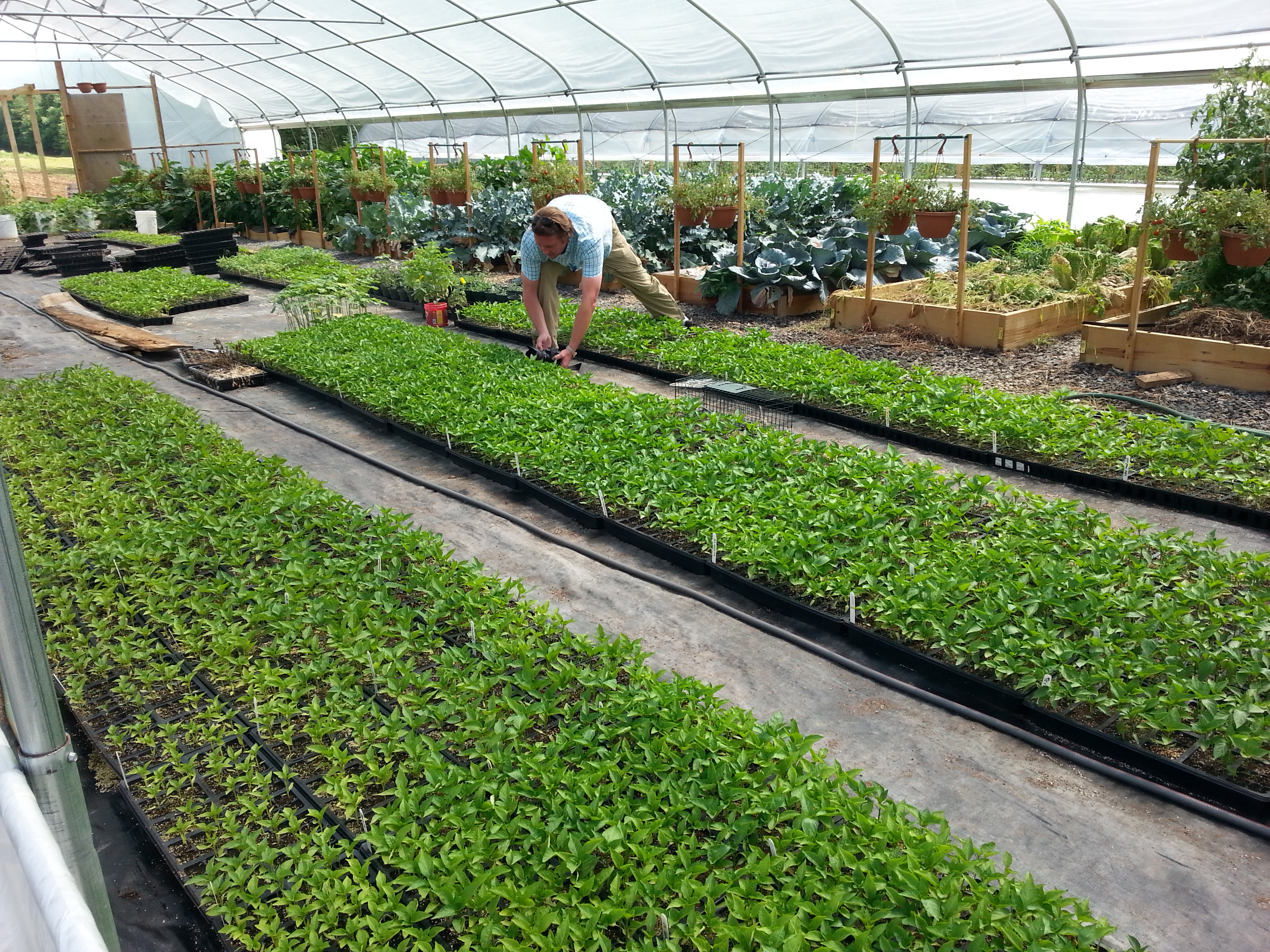 Nursery Irrigation