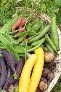 Vegetables