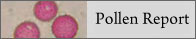 Pollen Report