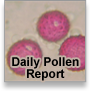 Daily Pollen Report