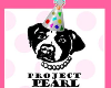 Project Pearl - 1 Year Birthday Party!