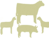 Impact of 4-H Youth Livestock Programs