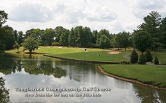 Tanglewood Championship Golf Course - view from the tee box on the 14th hole