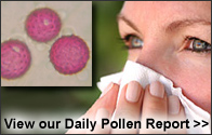 Pollen Report
