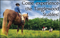 Come experience the Tanglewood stables!