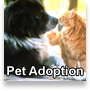 Pet Adoption