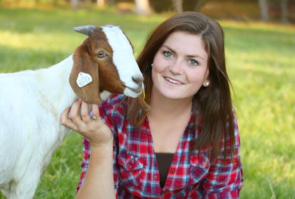 Clover Classic 4-H Livestock Show