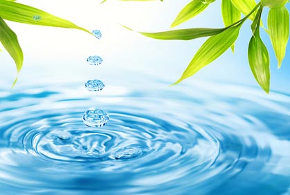 Celebrate Creek Week!