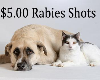 Rabies Vaccination Clinic