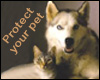 Low Cost Rabies Clinic