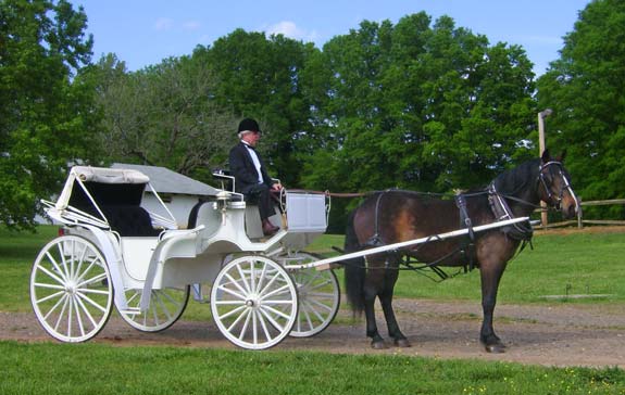Carriage Service