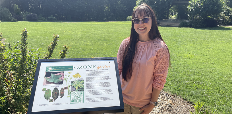 Growing Awareness: How Ozone Gardens Help Us See the Air We Breathe