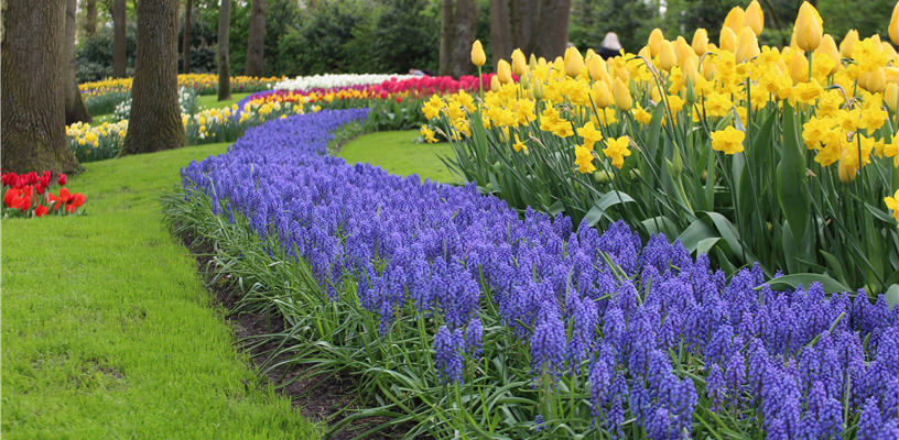 Summer 2025 Adult Education Gardening Classes