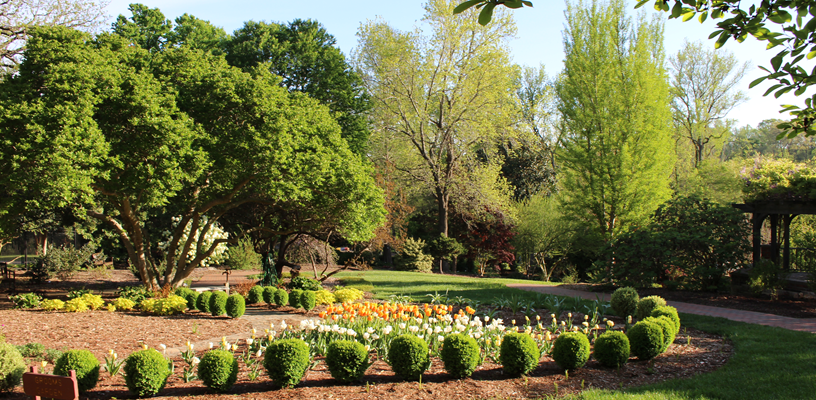 Join Us for Fall Adult Education Classes at the Arboretum at Tanglewood Park!
