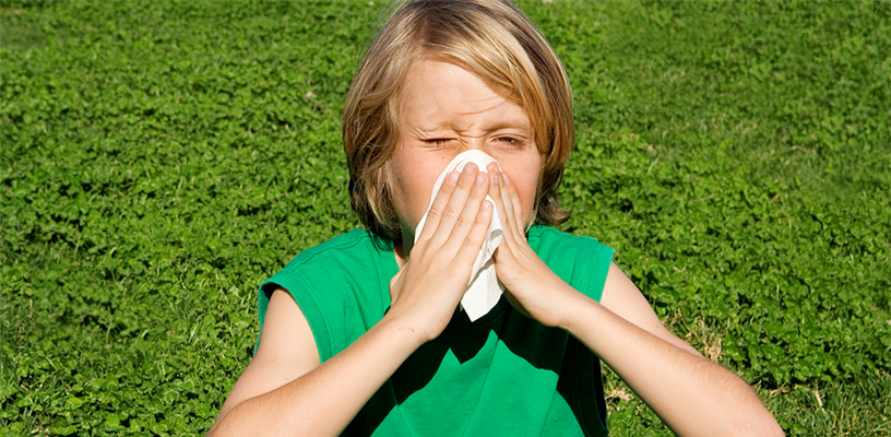 Bermuda Grass, or Devil Grass for Allergy Sufferers!