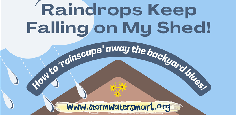 RAINDROPS KEEP FALLIN
