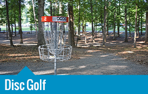 Disc Golf